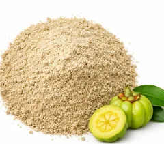 Garcinia Extract in AlkaBurn